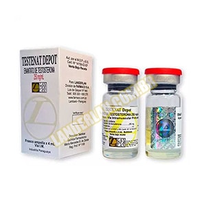 Testenat Enantato 4ml - 250mg 4ml/1ml | LANDERLAN Produto com certificado GMP